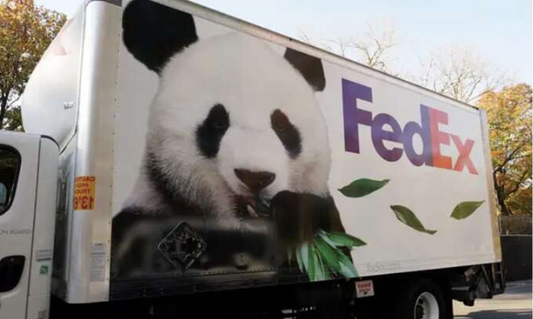 Panda Diplomacy: Unveiling China's Cultural Ambassadors Through Panda Products